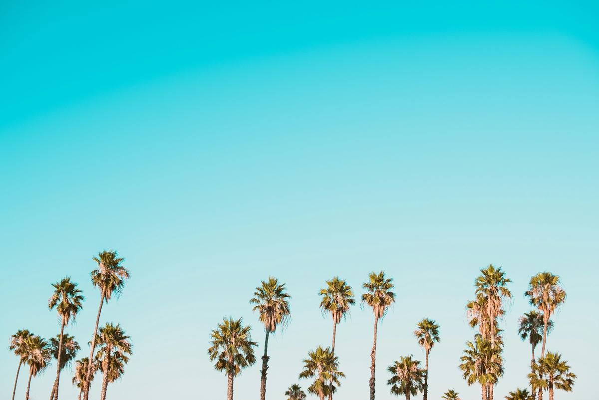 RV parked in a lush Florida campground with palm trees and a sunny sky