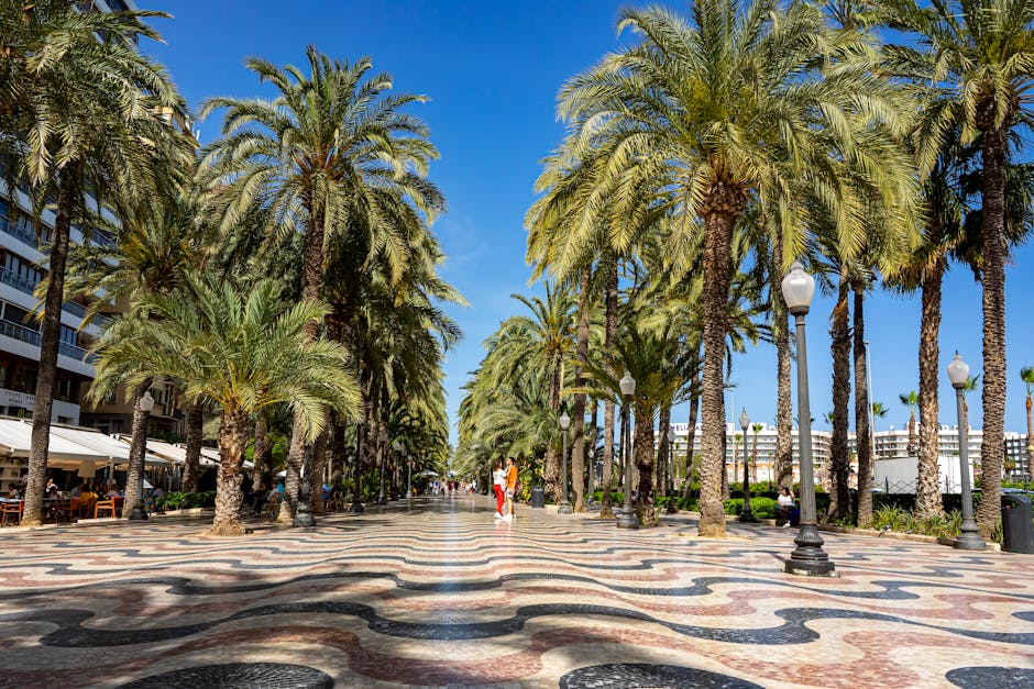 A photo of the Explanada de España showcasing its mosaic pattern and red palm trees lined along the promenade.