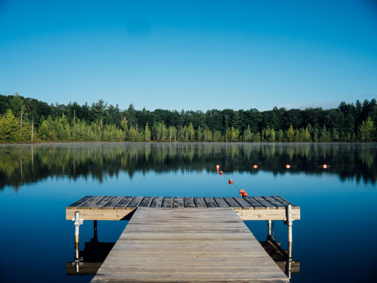 A beautiful swan gracefully swimming on a serene lake